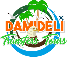 Damideli Transfer & Tours Logo